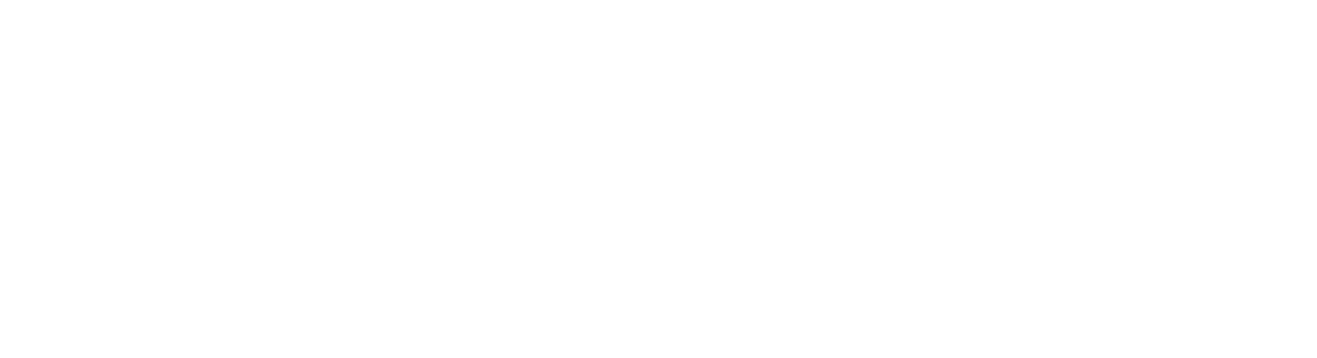PlayVisitLogo